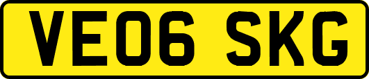 VE06SKG