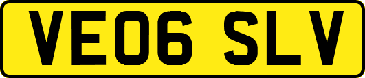 VE06SLV