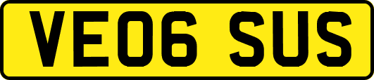 VE06SUS