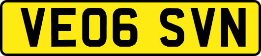VE06SVN
