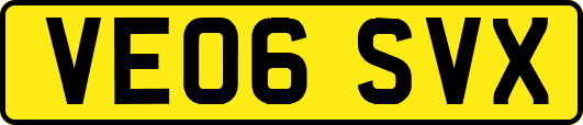VE06SVX