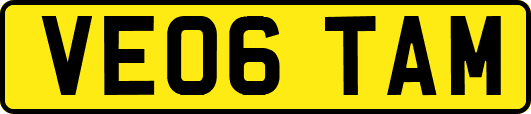 VE06TAM