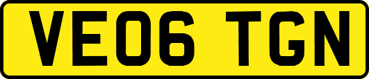 VE06TGN