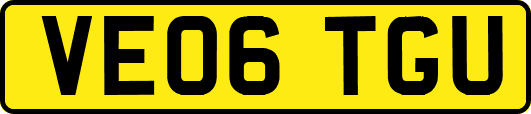 VE06TGU