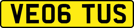 VE06TUS