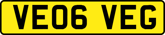 VE06VEG