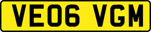 VE06VGM