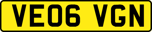 VE06VGN