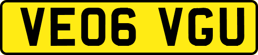 VE06VGU