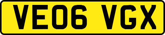 VE06VGX