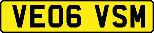 VE06VSM