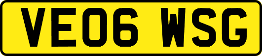 VE06WSG