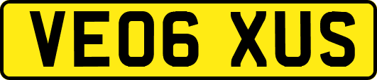 VE06XUS