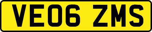 VE06ZMS