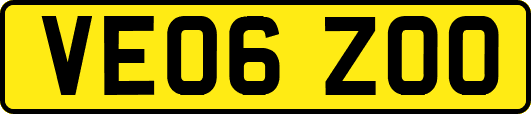 VE06ZOO