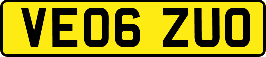 VE06ZUO