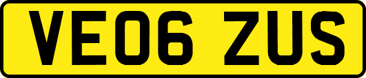 VE06ZUS