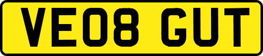 VE08GUT