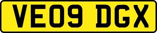 VE09DGX