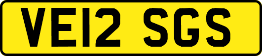 VE12SGS