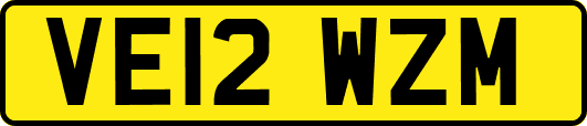 VE12WZM