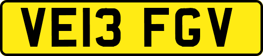 VE13FGV