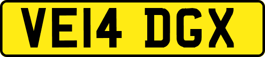 VE14DGX