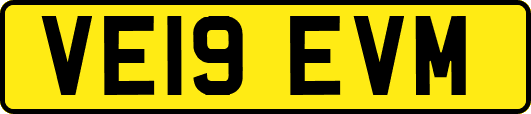 VE19EVM