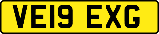 VE19EXG