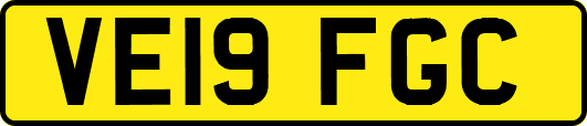 VE19FGC