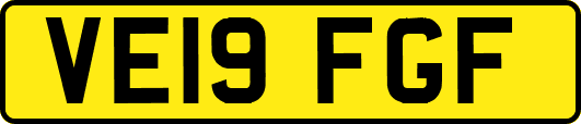 VE19FGF