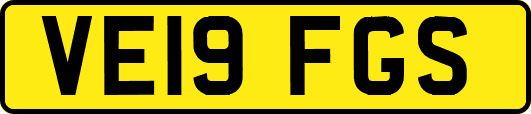 VE19FGS