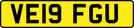 VE19FGU