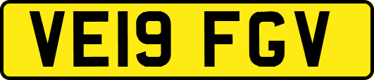 VE19FGV