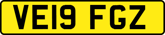 VE19FGZ