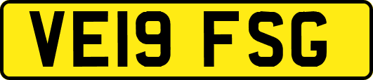 VE19FSG