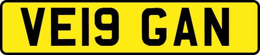 VE19GAN