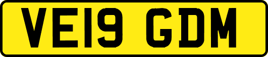 VE19GDM