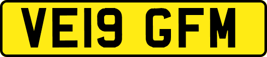 VE19GFM