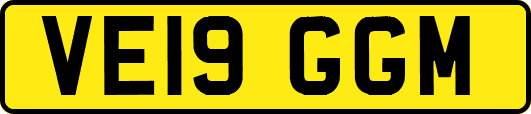 VE19GGM
