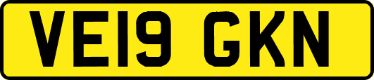 VE19GKN