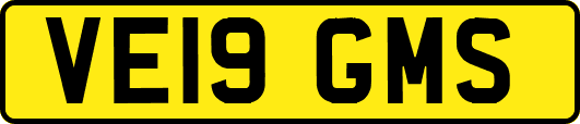 VE19GMS