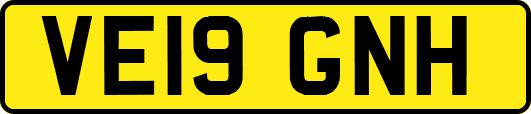 VE19GNH