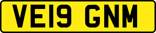 VE19GNM