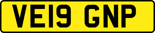 VE19GNP
