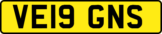 VE19GNS