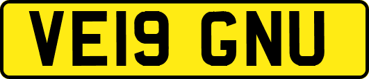 VE19GNU