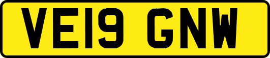 VE19GNW