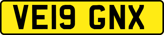 VE19GNX
