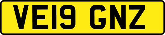 VE19GNZ